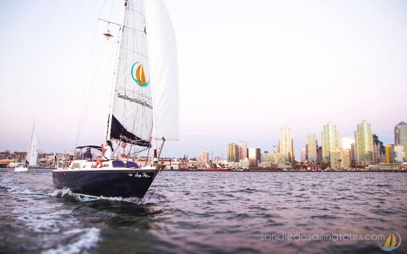 Sail Liberty | Can You See Whales or Dolphins on a Whales Sunset Cruise San Diego?